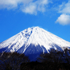 湘南ですか？　曽我の梅まつり（仇討ちですか？流鏑馬です！）