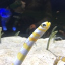 マスクママのズボラな日常