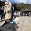 清荒神清澄寺