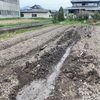 緊急事態宣言は全国へ！！自粛で今日は農作業！！