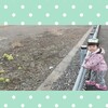 小さな春見つけた(生後1026日&467日。)