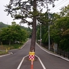 Day 22(5/June/2019) 曇りー雨雨雨　東室蘭―苫小牧