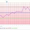 D5  クリスマスリース完成