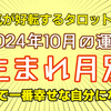 2024年12月　運気が好転するタロット占い（生まれ月別）動画を公開しました！【タロット占い】