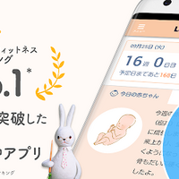 母子手帳について解説 役割やもらい方 こんなときどうする 母子手帳ケースやアプリもご紹介 ベイビーーズ ママのトレンド
