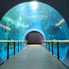 【滋賀県】草津市、『琵琶湖博物館』に行ってきました。