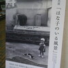 写真展「はな子のいる風景」