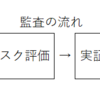 監査の全体像について