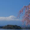 sakeの歩窓から（大石公園から忍野へ）