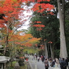 遠州三山や香嵐渓　ちょっと残念　紅葉めぐり（3の1）