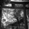 赤坂の日枝神社