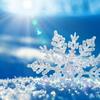 6つの素敵な雪花のアクセサリー