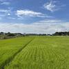 つくばへ出張！（今日も夏日でした…つくばの風景いろいろ…）