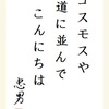 コスモスや 道に並んで こんにちは