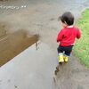 雨上がりに一皮向けた