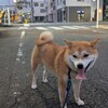 コーナキックの守備問題🍊