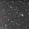 V404 Cyg,