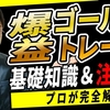 【初心者必見】FXで爆益を生むゴールドトレードの基礎知識