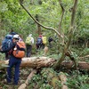 10月24日・今月二回目の山行は指宿市開聞岳の側矢筈岳・20名の参加