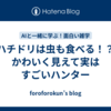 ハチドリは虫も食べる！？かわいく見えて実はすごいハンター