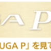 ELUGA P P-03E タッチアンドトライ店舗での購入で急速充電器等プレゼント