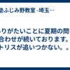 ありがたいことに夏期の問い合わせが続いております。テトリスが追いつかない。。。