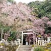 【京都】『大豊神社』に行ってきました。 京都旅行 京都神社仏閣 女子旅