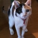窓から見える空のいろ
