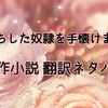 「闇落ちした奴隷を手懐けました」原作小説 翻訳ネタバレ