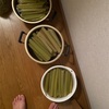 太陽さんが元気をくれる
