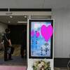 遊びに行けなくて　ごめんなさい！　お通夜と告別式だったのです🌟　ボサノバの髪の毛は…