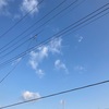 3.25　春の朝、春の一日。