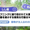 12位：動物が主人公の小説＆肘を手で洗う