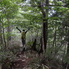 八田さんの自家旅「面河山」　涼風の森