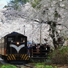 桜満開の津軽鉄道芦野公園駅を発車する、DD352の牽く旧型客車を撮る！