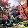 「殿ヶ谷戸庭園」の紅葉亭で紅葉狩り