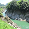 飛水峡のイワオ先輩