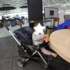 【ベビ連れソウル⑦】１歳の娘を連れて。仁川空港第一ターミナルでの過ごし方。