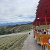 北海道旅行5日目（最終日）　美瑛周辺の絶景スポット巡り