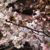 どこかを捜していますか？