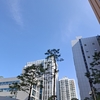 アメックス＆SFCで満喫する韓国・沖縄・札幌ワーケーション2日目　ファイン・ホテル・アンド・リゾート（FHR）で予約したコンラッドソウルが最高でした