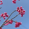楽しい学校生活。