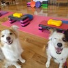 フィットネス教室(２)
