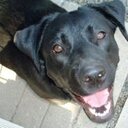 「わた」の世話ないよ！