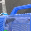 少しでも娘との時間は楽しもうと思います。