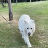 不安と希望の医療日記