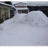 自宅裏の果樹園までの除雪は降雪の都度やっておく必要がある