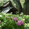 藤森神社