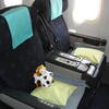 【アイドル航空】＜JL * KIX/TPE＞②