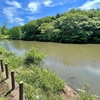 青葉ヶ池・舟田池など青葉公園の池群（千葉県千葉）